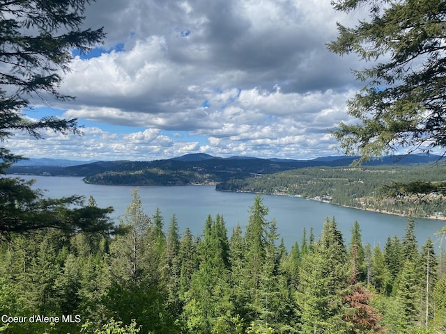 water view with a mountain backdrop and a heavily wooded area