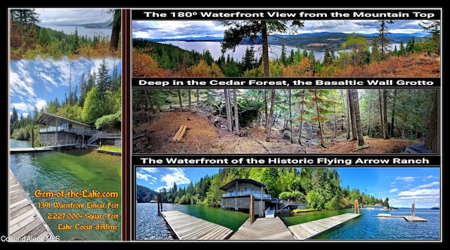 view of a document with a collage of images