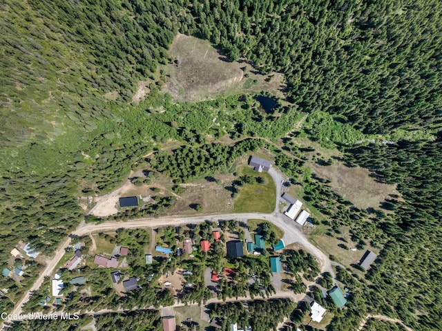 435 Shady Pines Loop, Priest Lake, ID 83856 - aerial view of property's location