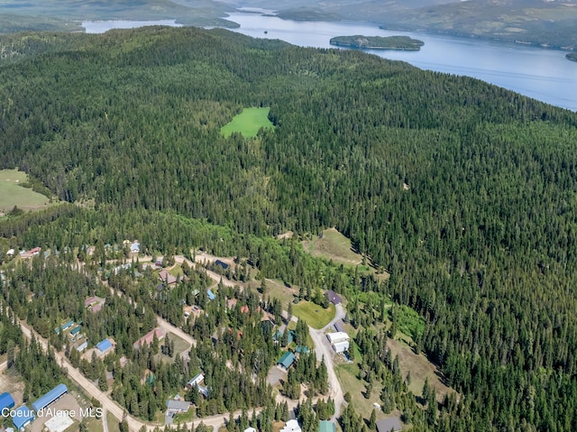 435 Shady Pines Loop, Priest Lake, ID 83856 - aerial view of property and surrounding area with a forest and a water and mountain view