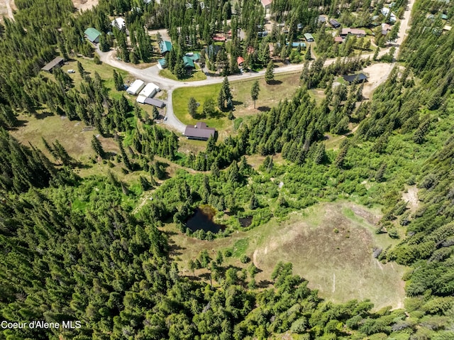 435 Shady Pines Loop, Priest Lake, ID 83856 - aerial overview of property's location