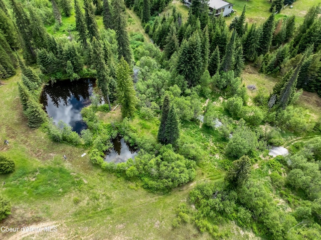 435 Shady Pines Loop, Priest Lake, ID 83856 - bird's eye view of a large body of water