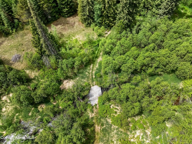 435 Shady Pines Loop, Priest Lake, ID 83856 - bird's eye view