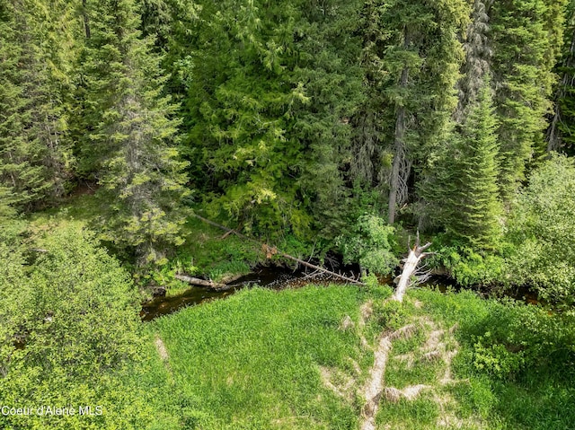435 Shady Pines Loop, Priest Lake, ID 83856 - view of local wilderness