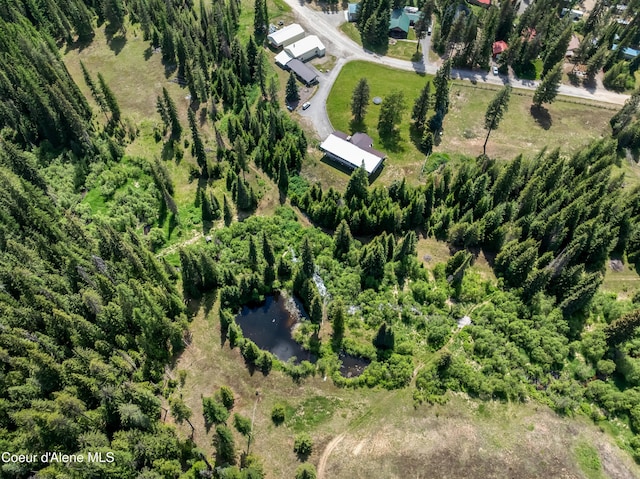 435 Shady Pines Loop, Priest Lake, ID 83856 - aerial view of property's location