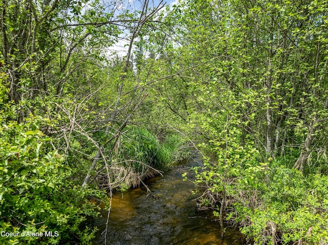 435 Shady Pines Loop, Priest Lake, ID 83856 - view of undeveloped land