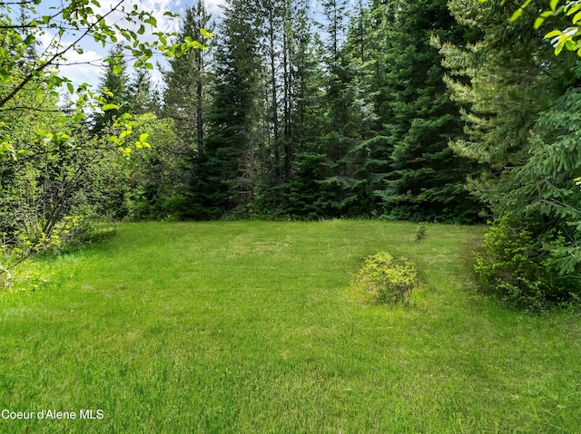 435 Shady Pines Loop, Priest Lake, ID 83856 - view of green lawn