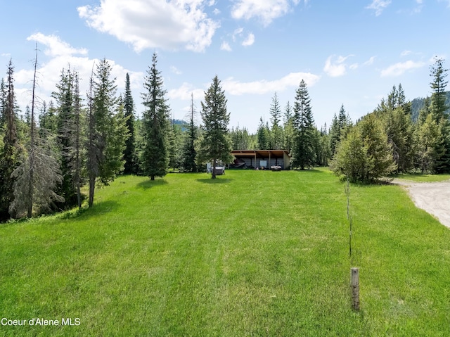 435 Shady Pines Loop, Priest Lake, ID 83856 - view of green lawn