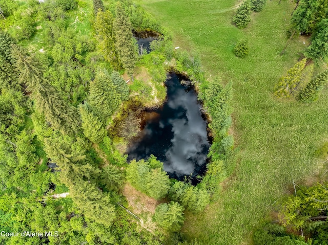 435 Shady Pines Loop, Priest Lake, ID 83856 - aerial view of a large body of water
