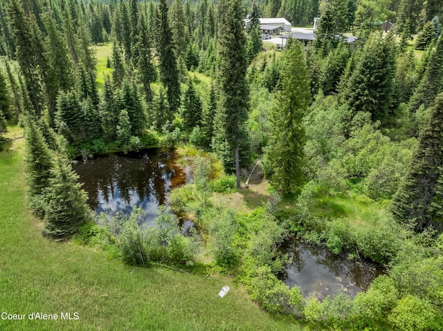 435 Shady Pines Loop, Priest Lake, ID 83856 - view of subject property featuring a heavily wooded area and a nearby body of water