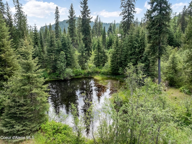 435 Shady Pines Loop, Priest Lake, ID 83856 - water view featuring a forest