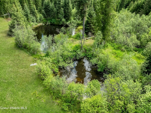 435 Shady Pines Loop, Priest Lake, ID 83856 - drone / aerial view