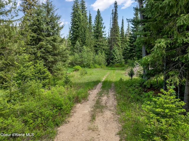 435 Shady Pines Loop, Priest Lake, ID 83856 - view of dirt / gravel road with a forest view