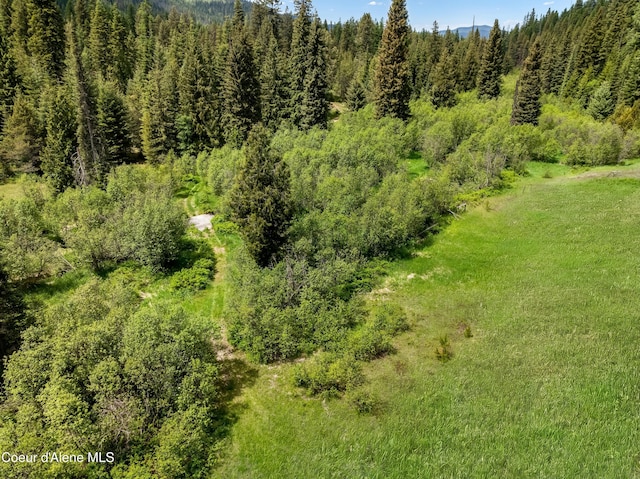 435 Shady Pines Loop, Priest Lake, ID 83856 - aerial view of a heavily wooded area