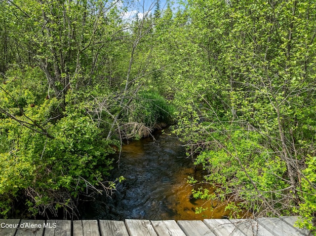 435 Shady Pines Loop, Priest Lake, ID 83856 - view of local wilderness