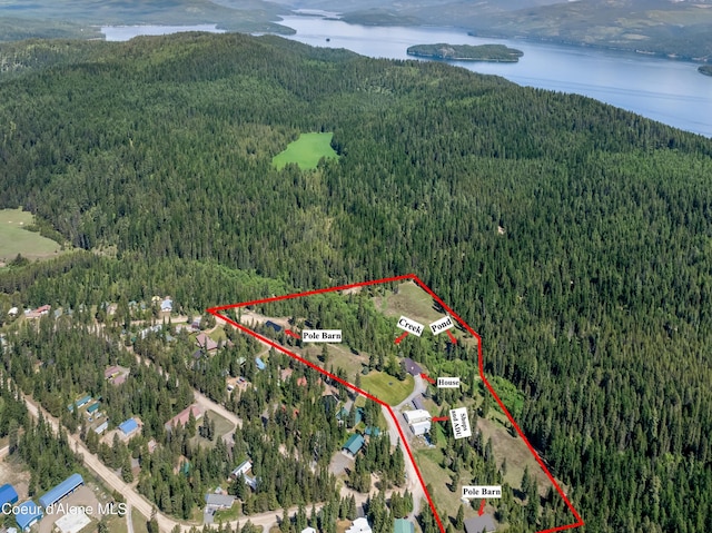 435 Shady Pines Loop, Priest Lake, ID 83856 - view of property location featuring a heavily wooded area, a water and mountain view, and property parcel outlined