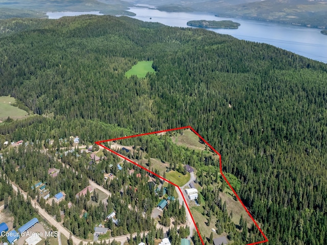 435 Shady Pines Loop, Priest Lake, ID 83856 - aerial view of property and surrounding area featuring a heavily wooded area, a water and mountain view, and property boundaries highlighted