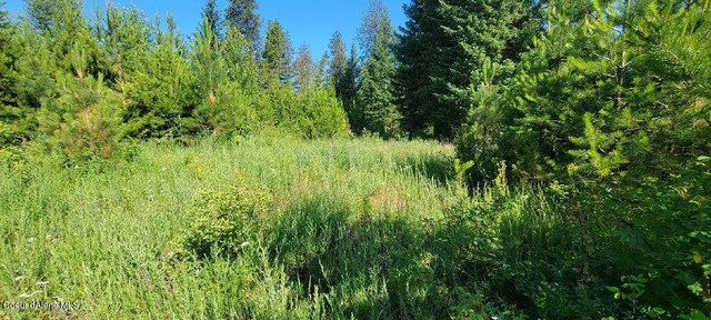 LT4 W Fredrick Loop, Spirit Lake, ID 83869