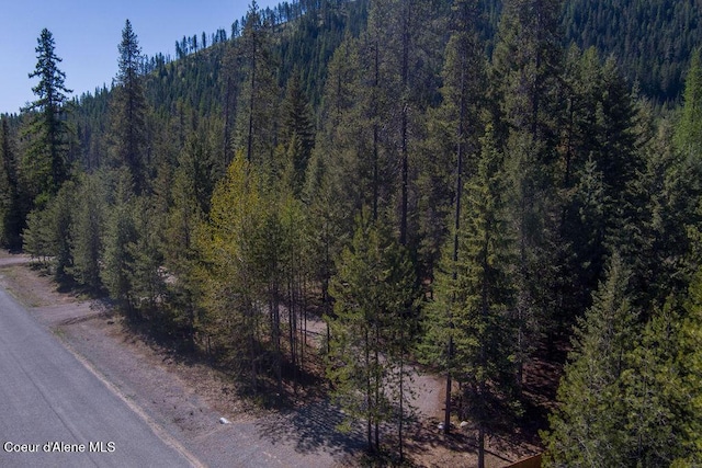 BLK4 S Ryan Rd, Priest Lake, ID 83856