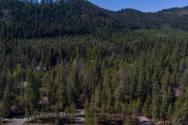 BLK4 S Ryan Rd, Priest Lake, ID 83856