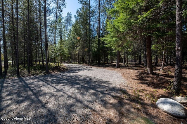 BLK4 S Ryan Rd, Priest Lake, ID 83856