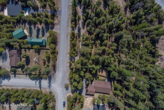BLK4 S Ryan Rd, Priest Lake, ID 83856