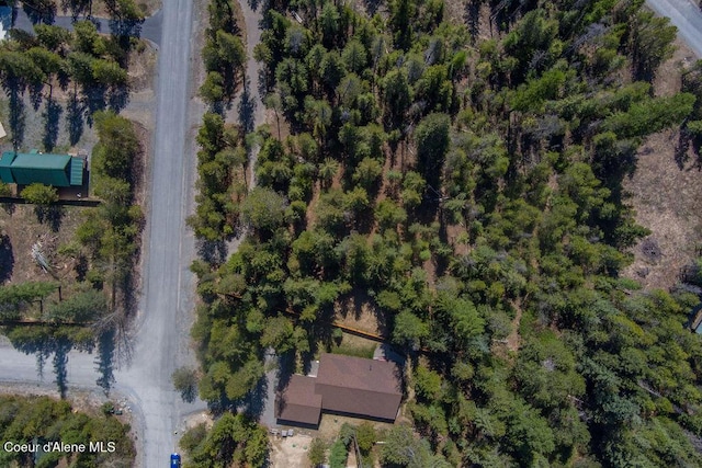 BLK4 S Ryan Rd, Priest Lake, ID 83856