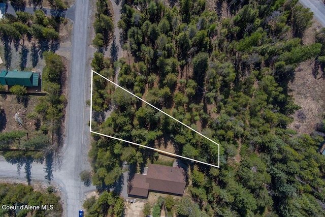 BLK4 S Ryan Rd, Priest Lake, ID 83856