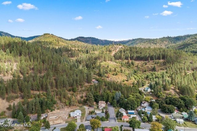 aerial overview of property's location with a forest and a mountainous background
