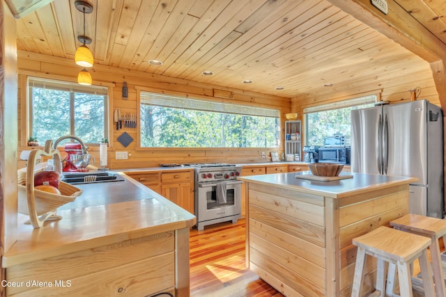 3226 District Two Rd, Bonners Ferry, ID 83805 - kitchen with a sink, wood ceiling, light countertops, and appliances with stainless steel finishes
