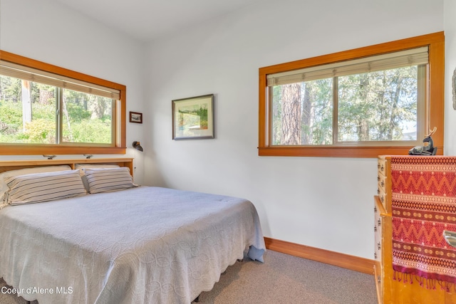 3226 District Two Rd, Bonners Ferry, ID 83805 - bedroom with carpet flooring and baseboards
