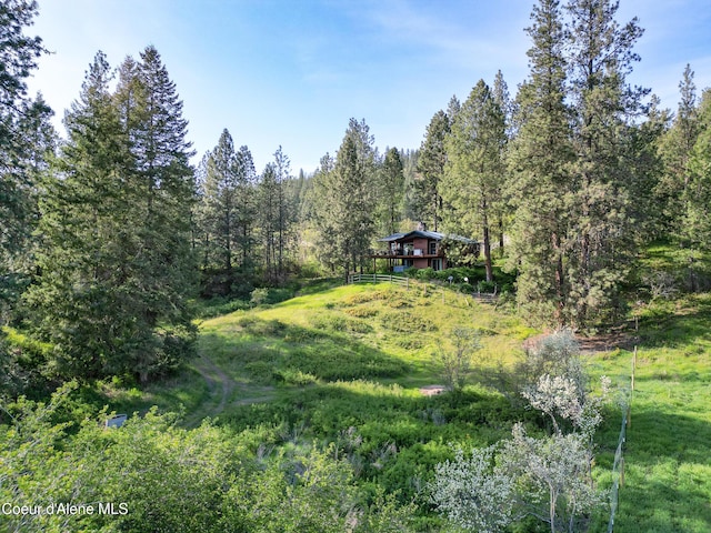 3226 District Two Rd, Bonners Ferry, ID 83805 - view of yard featuring a wooded view and a deck