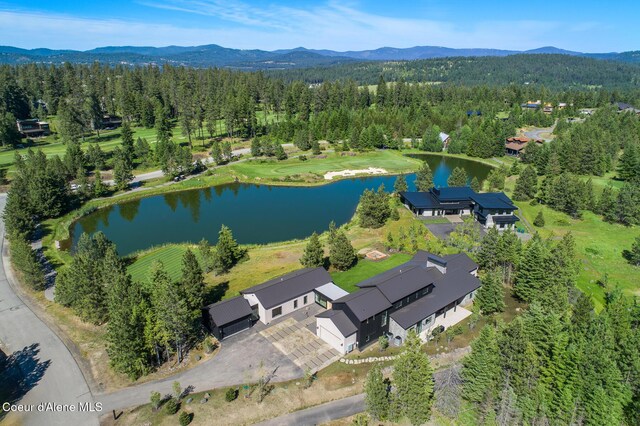 6898 S Nighthawk Ct, Harrison, ID 83833