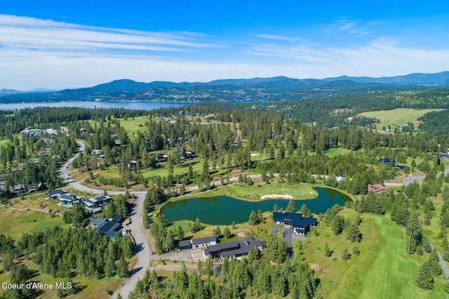 6898 S Nighthawk Ct, Harrison, ID 83833