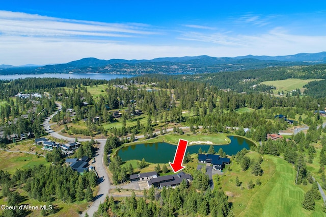 6898 S Nighthawk Ct, Harrison, ID 83833