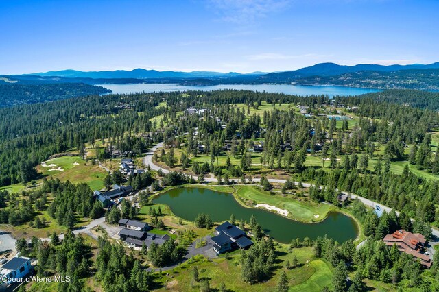 6898 S Nighthawk Ct, Harrison, ID 83833