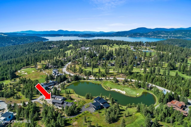 6898 S Nighthawk Ct, Harrison, ID 83833
