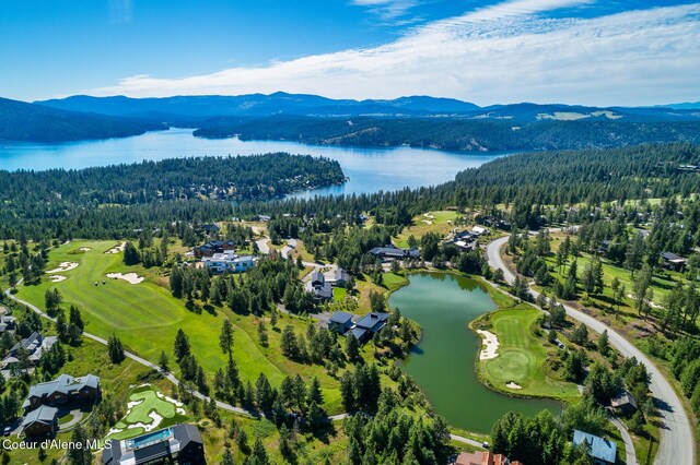 6898 S Nighthawk Ct, Harrison, ID 83833