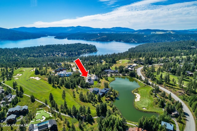 6898 S Nighthawk Ct, Harrison, ID 83833