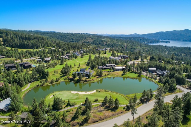 6898 S Nighthawk Ct, Harrison, ID 83833
