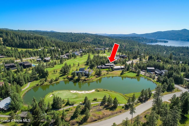 6898 S Nighthawk Ct, Harrison, ID 83833