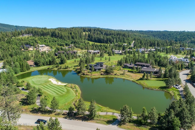 6898 S Nighthawk Ct, Harrison, ID 83833