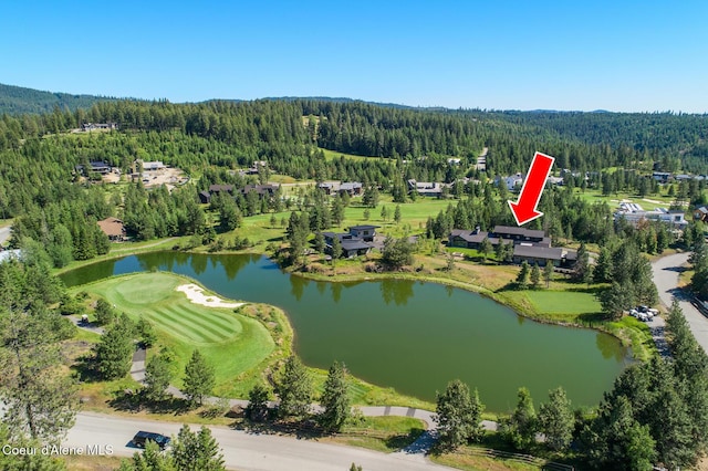 6898 S Nighthawk Ct, Harrison, ID 83833
