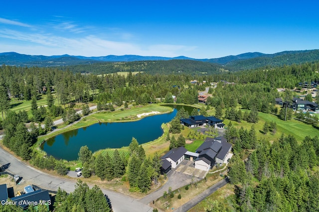 6898 S Nighthawk Ct, Harrison, ID 83833