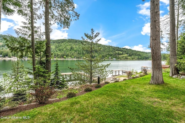 130 Cedar Shls, Sagle, ID 83860 - water view with a forest