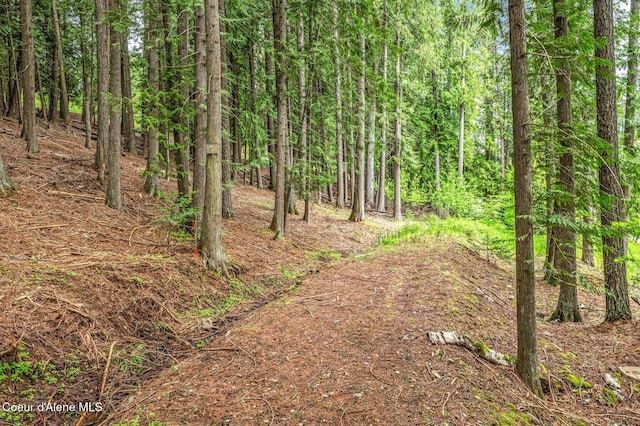 130 Cedar Shls, Sagle, ID 83860 - view of yard featuring a forest view