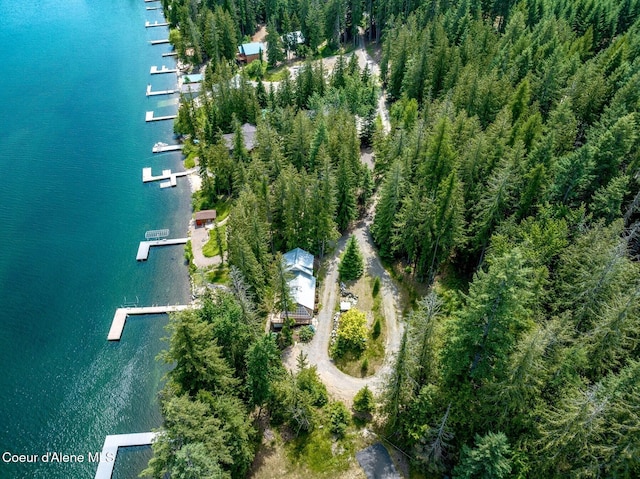 130 Cedar Shls, Sagle, ID 83860 - photo 53