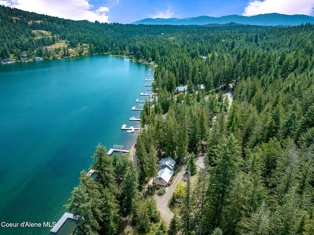 130 Cedar Shls, Sagle, ID 83860 - photo 54