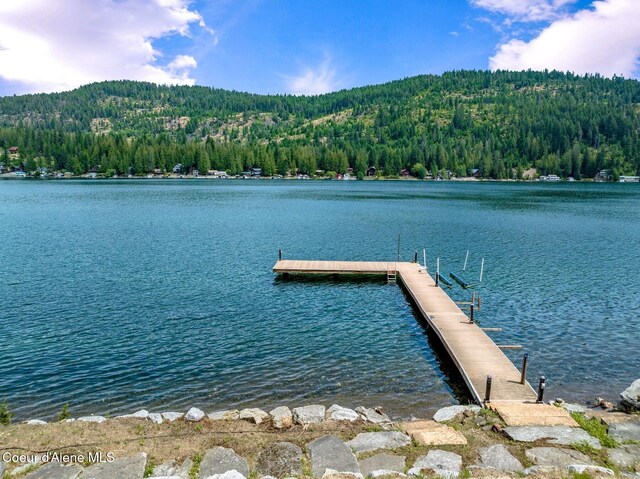 130 Cedar Shls, Sagle, ID 83860 - photo 60