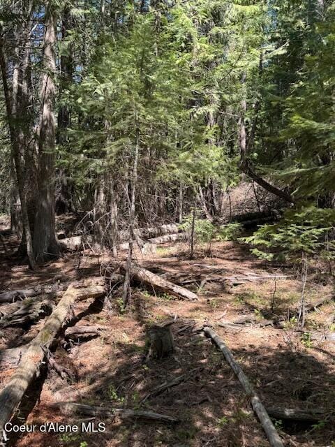455 Love Ln, Fernwood, ID 83830